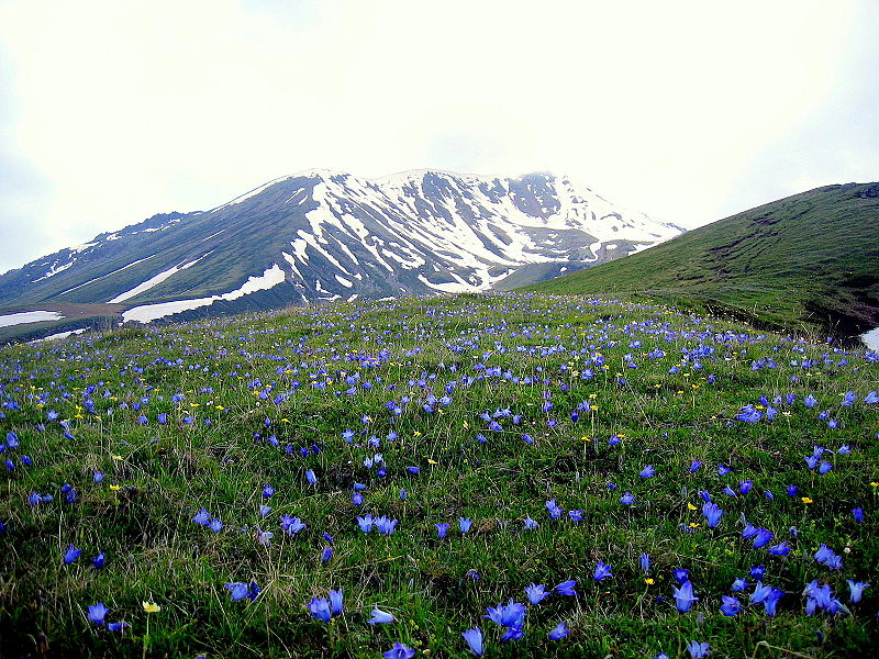 Georgia’s top romantic places geotv.ge